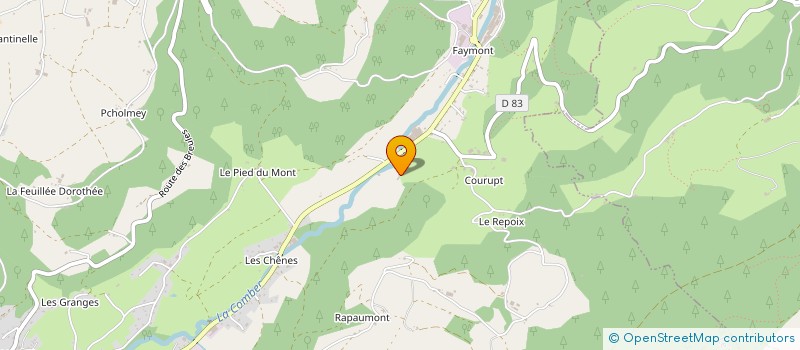 localisation de l'entreprise MADAME BERNADETTE BOURDUGE  LE VAL-D'AJOL