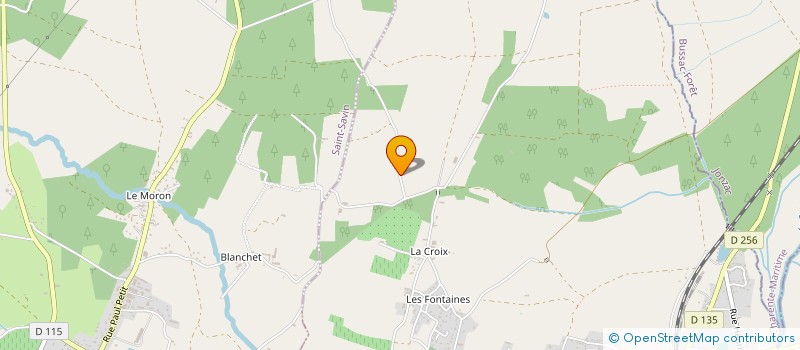 localisation de l'entreprise MADAME BERNADETTE BOURSAUD  SAINT-SAVIN