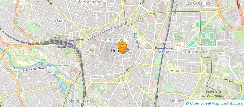 localisation de l'entreprise MADAME BERNADETTE CAMUSET à DIJON
