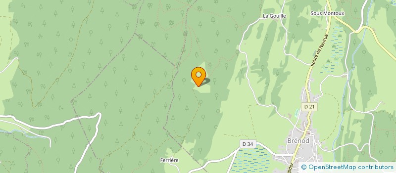 localisation de l'entreprise MADAME BERNADETTE GRIOT-MASSONNET  BRENOD