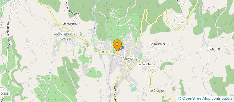 localisation de l'entreprise MADAME BERNADETTE LEVEQUE  MEYSSAC