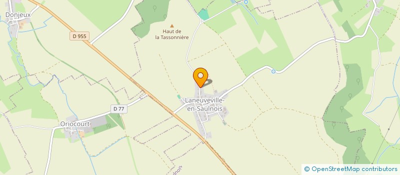 localisation de l'entreprise MADAME BERNADETTE MATHIS  LANEUVEVILLE-EN-SAULNOIS