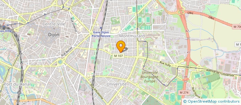 localisation de l'entreprise MADAME BERNADETTE PALLEGOIX  DIJON