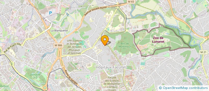 localisation de l'entreprise MADAME BERNADETTE SULOT à MONTPELLIER