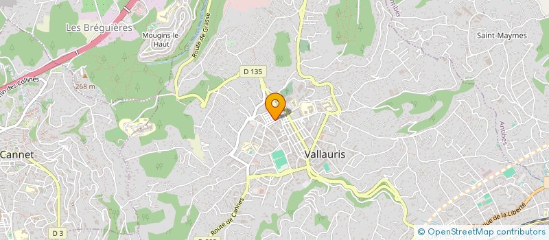 localisation de l'entreprise MADAME BERNANDETH FERNANDES SILVA  VALLAURIS