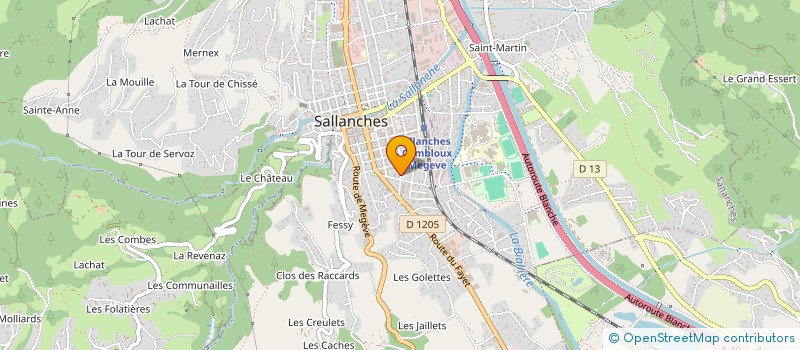 localisation de l'entreprise MADAME BERTHE ARVIN-BEROD à SALLANCHES