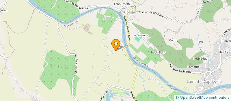 localisation de l'entreprise MADAME BERTHE BOU  MONTAUBAN