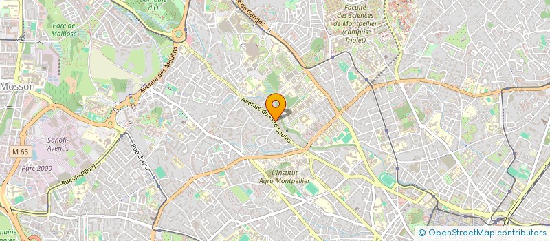 localisation de l'entreprise MADAME BERTHE MEDJOUNE à MONTPELLIER