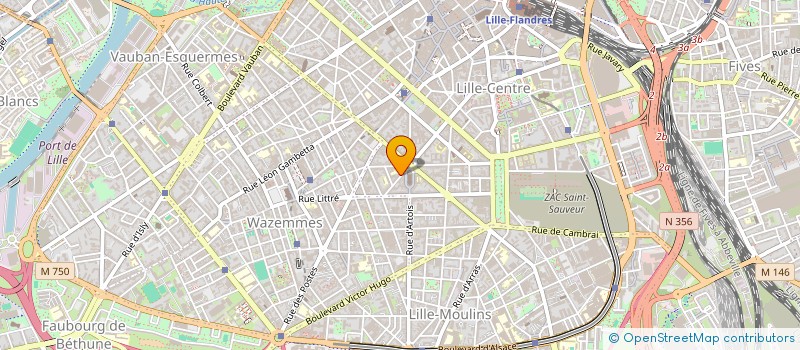 localisation de l'entreprise MADAME BERTILLE BIZOUERNE à LILLE