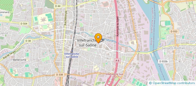 localisation de l'entreprise MADAME BETHANIA RAUSEO LOPEZ  VILLEFRANCHE-SUR-SAONE