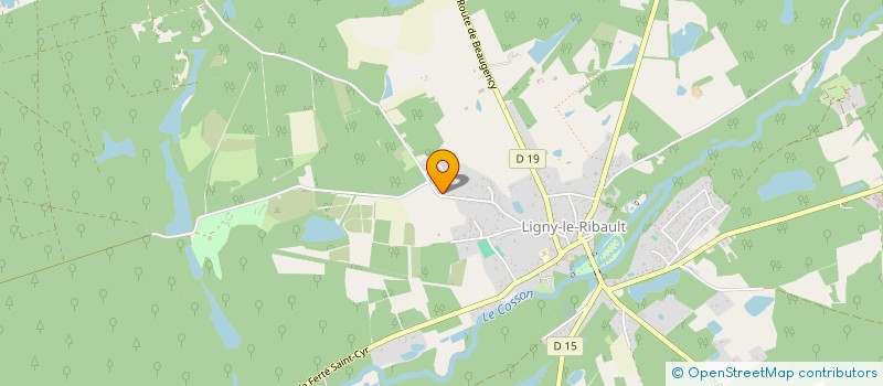 localisation de l'entreprise MADAME BETTINA MICHEL à LIGNY-LE-RIBAULT