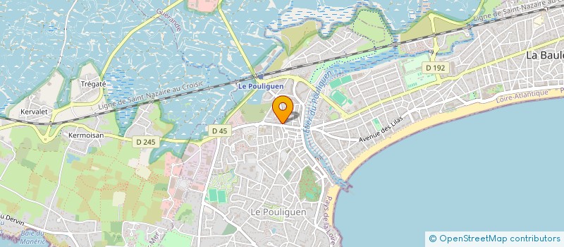 localisation de l'entreprise MADAME BETTY CAILLARD à LE POULIGUEN