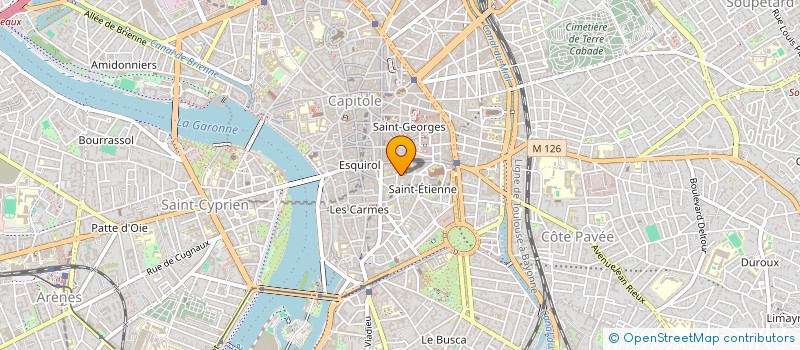 localisation de l'entreprise MADAME BEYZA BAYDUR  TOULOUSE