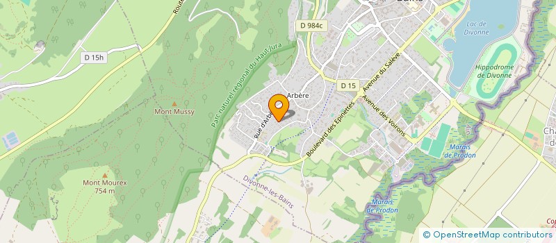 localisation de l'entreprise MADAME BIAGINA MERMET BURNET  DIVONNE-LES-BAINS