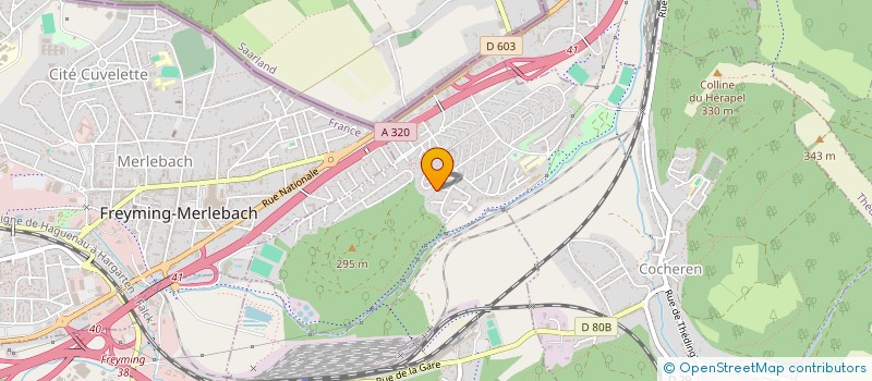 localisation de l'entreprise MADAME BIANCA-ELENA BALAN  FREYMING-MERLEBACH