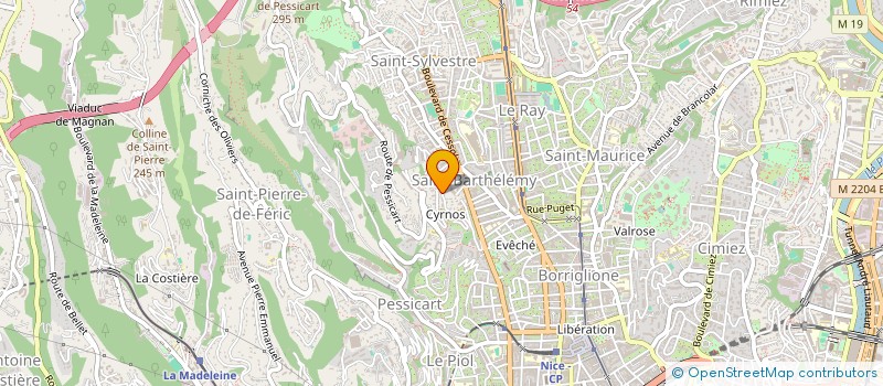 localisation de l'entreprise MADAME BIANCA RUSU  NICE