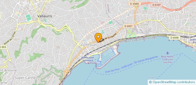 localisation de l'entreprise MADAME BIANKA KOVACS  VALLAURIS