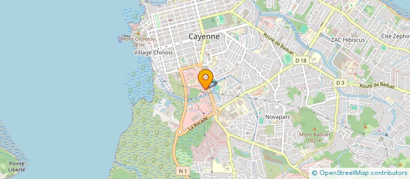 localisation de l'entreprise MADAME BINGMEI ZHAN  CAYENNE