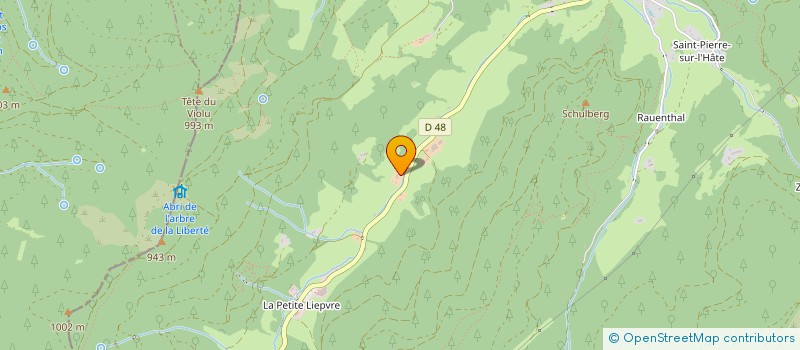 localisation de l'entreprise MADAME BIRGIT BRAUTIGAM  SAINTE-MARIE-AUX-MINES