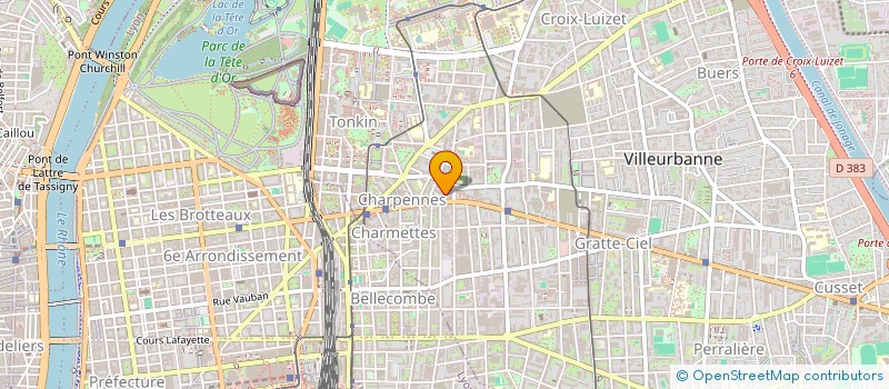 localisation de l'entreprise MADAME BLANDINE HERTZOG  VILLEURBANNE