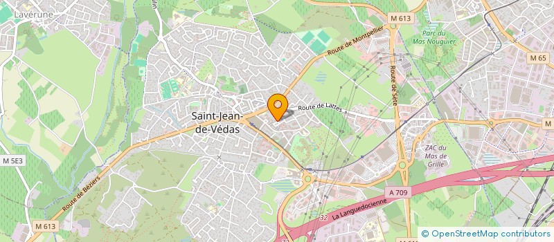 localisation de l'entreprise MADAME BLANDINE IRLES  SAINT-JEAN-DE-VEDAS