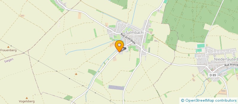 localisation de l'entreprise MADAME BLANDINE KOCHER  SALMBACH