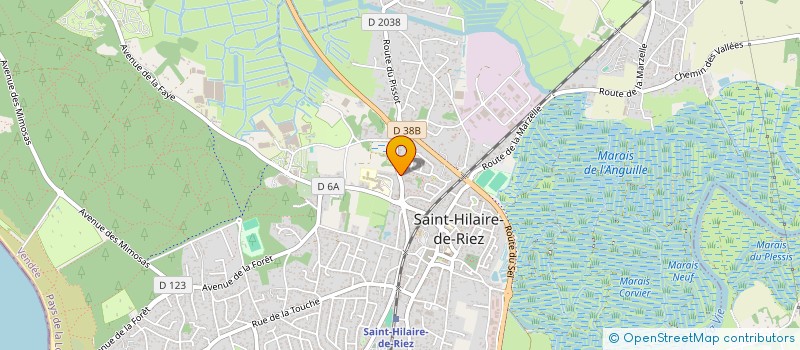 localisation de l'entreprise MADAME BLANDINE LEHMANN à SAINT-HILAIRE-DE-RIEZ
