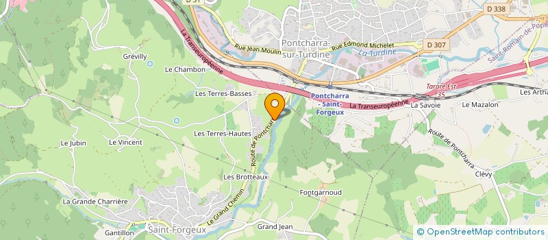 localisation de l'entreprise MADAME BLANDINE PISSON  SAINT-FORGEUX