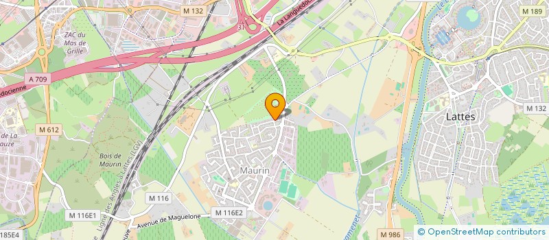 localisation de l'entreprise MADAME BLANDINE PLEAU à LATTES