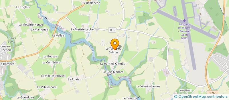 localisation de l'entreprise MADAME BLANDINE SROCZYNSKI  PLEURTUIT