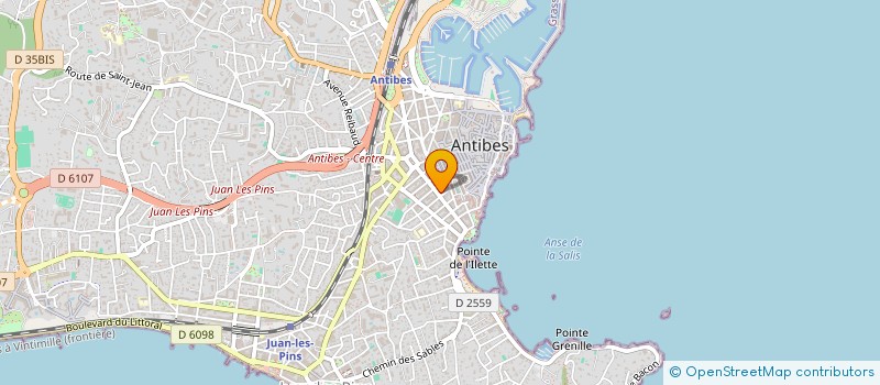 localisation de l'entreprise MADAME BOJANA NISLIC à ANTIBES