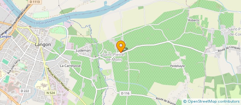 localisation de l'entreprise MADAME BRENDA REMY  SAINT-PIERRE-DE-MONS