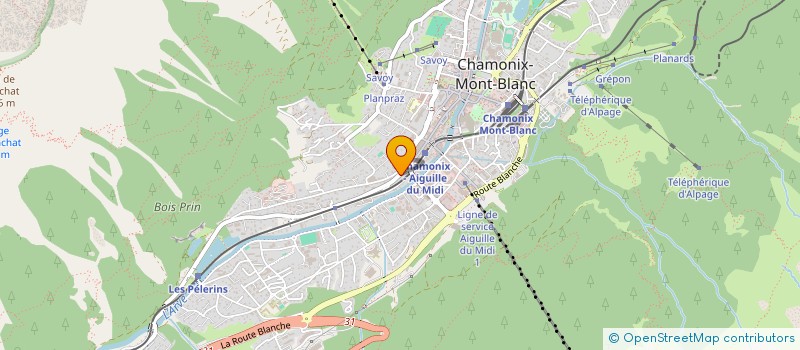 localisation de l'entreprise MADAME BRIDGET TEMPLE  CHAMONIX-MONT-BLANC