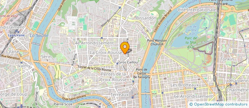 localisation de l'entreprise MADAME BRIGITE BELLEGO à LYON