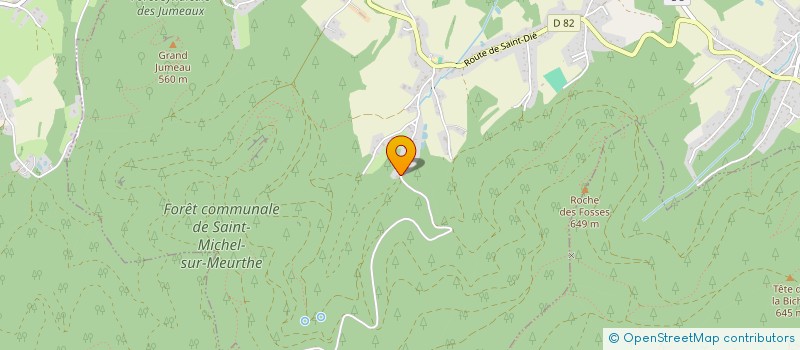 localisation de l'entreprise MADAME BRIGITTE BARETH  SAINT-MICHEL-SUR-MEURTHE