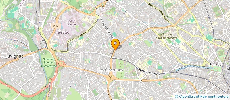 localisation de l'entreprise MADAME BRIGITTE BILLAUD à MONTPELLIER