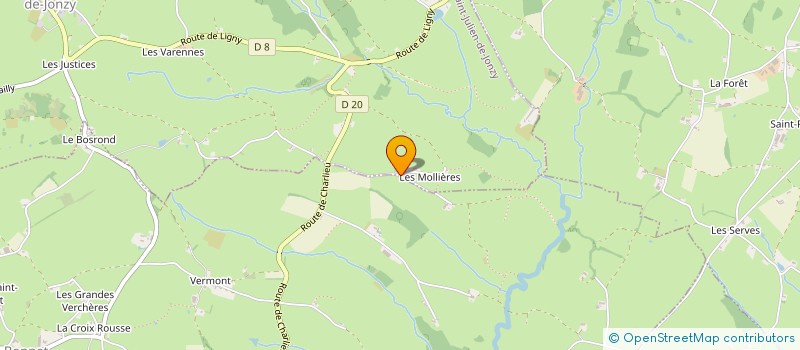 localisation de l'entreprise MADAME BRIGITTE BOUS  SAINT-JULIEN-DE-JONZY