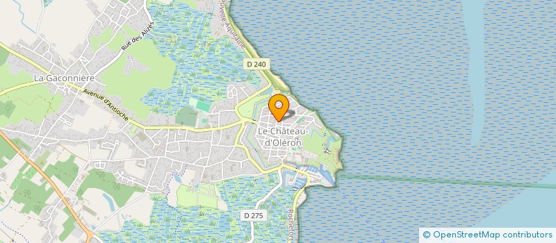 localisation de l'entreprise MADAME BRIGITTE BOUYE  LE CHATEAU-D'OLERON