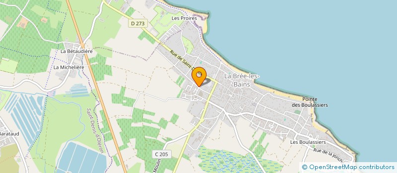 localisation de l'entreprise MADAME BRIGITTE CHANTAL PONTEZIERE à LA BREE-LES-BAINS