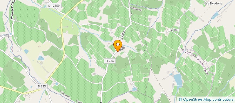 localisation de l'entreprise MADAME BRIGITTE DELAGE  CAPLONG