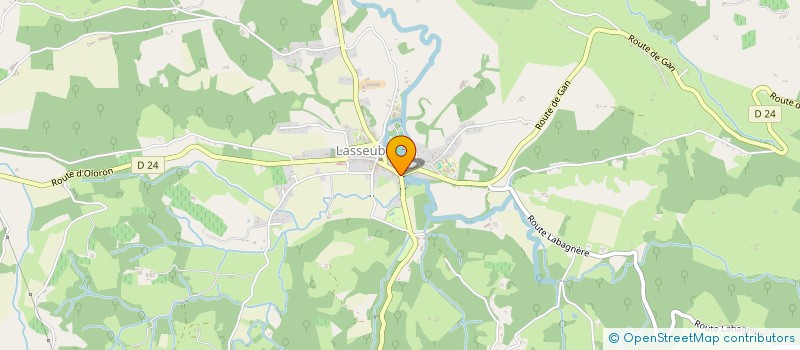 localisation de l'entreprise MADAME BRIGITTE DELCHER  LASSEUBE