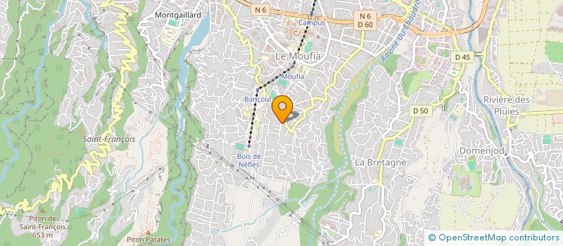 localisation de l'entreprise MADAME BRIGITTE DELELA  SAINT-DENIS