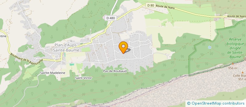 localisation de l'entreprise MADAME BRIGITTE FILS  PLAN-D'AUPS-SAINTE-BAUME