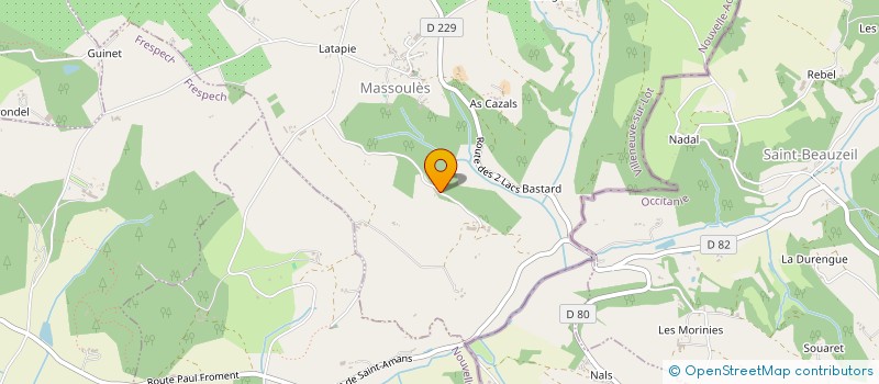 localisation de l'entreprise MADAME BRIGITTE FRAGNE  MASSOULES