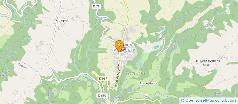 localisation de l'entreprise MADAME BRIGITTE GUINOT  SAUVETERRE-DE-ROUERGUE