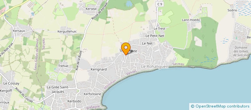 localisation de l'entreprise MADAME BRIGITTE LARIVIERE  SARZEAU