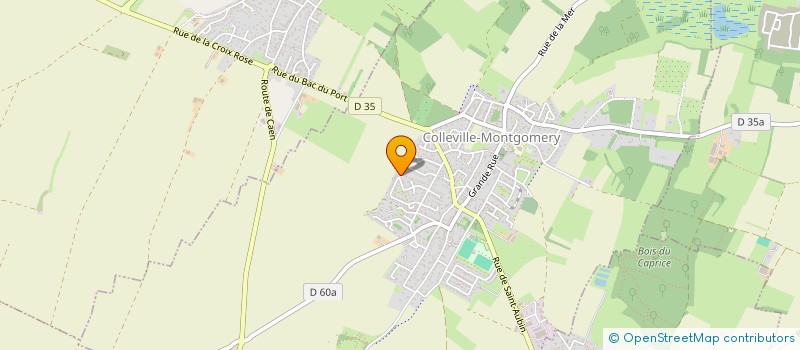 localisation de l'entreprise MADAME BRIGITTE LETROUIT  COLLEVILLE-MONTGOMERY