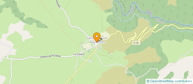 localisation de l'entreprise MADAME BRIGITTE LEYNAUD  SAINT-MAURICE-NAVACELLES