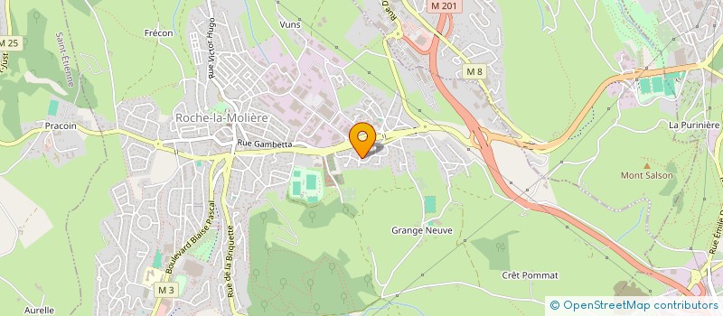 localisation de l'entreprise MADAME BRIGITTE MALEYSSON  ROCHE-LA-MOLIERE