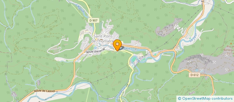 localisation de l'entreprise MADAME BRIGITTE MANZONI  SAINT-PONS-DE-THOMIERES